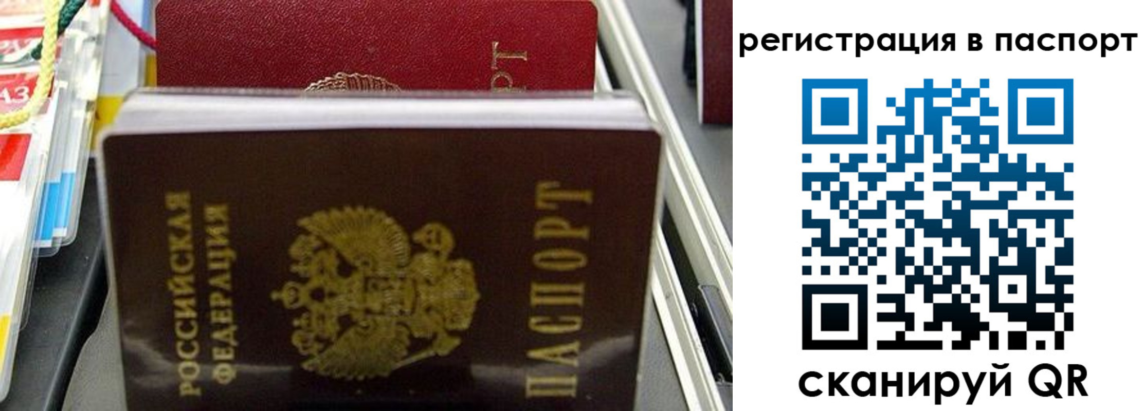 прописка для школы в Чехове